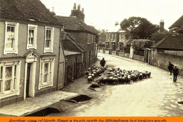 WESTBOURNE HISTORY PHOTO, NORTH STREET, SHEEP, GULLY, WHITEFRIARS