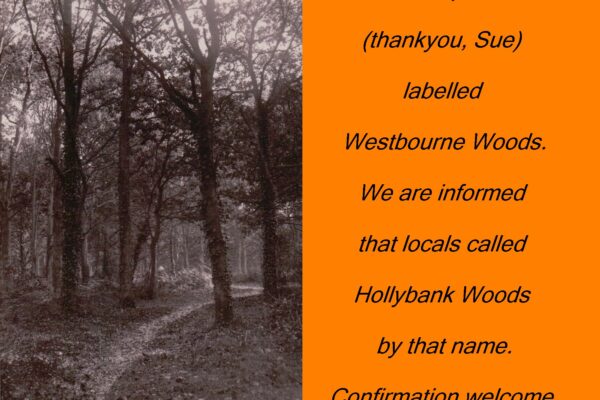 WESTBOURNE HISTORY PHOTO, WESTBOURNE WOOD, HOLLYBANK