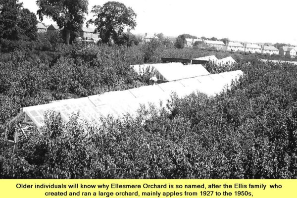 Orchards run by the Ellis family, now Ellesmere Orchard